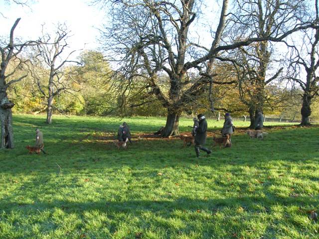 All Aged Trial Orchardleigh  23rd November 2013