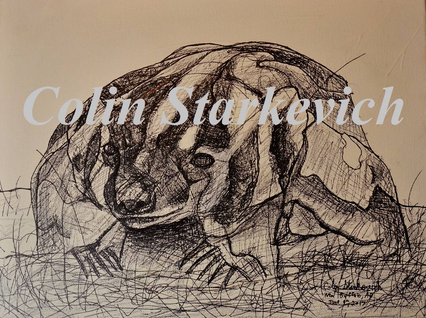 Badger Erratic Drawing (12 by 16" mixed media on canvas)