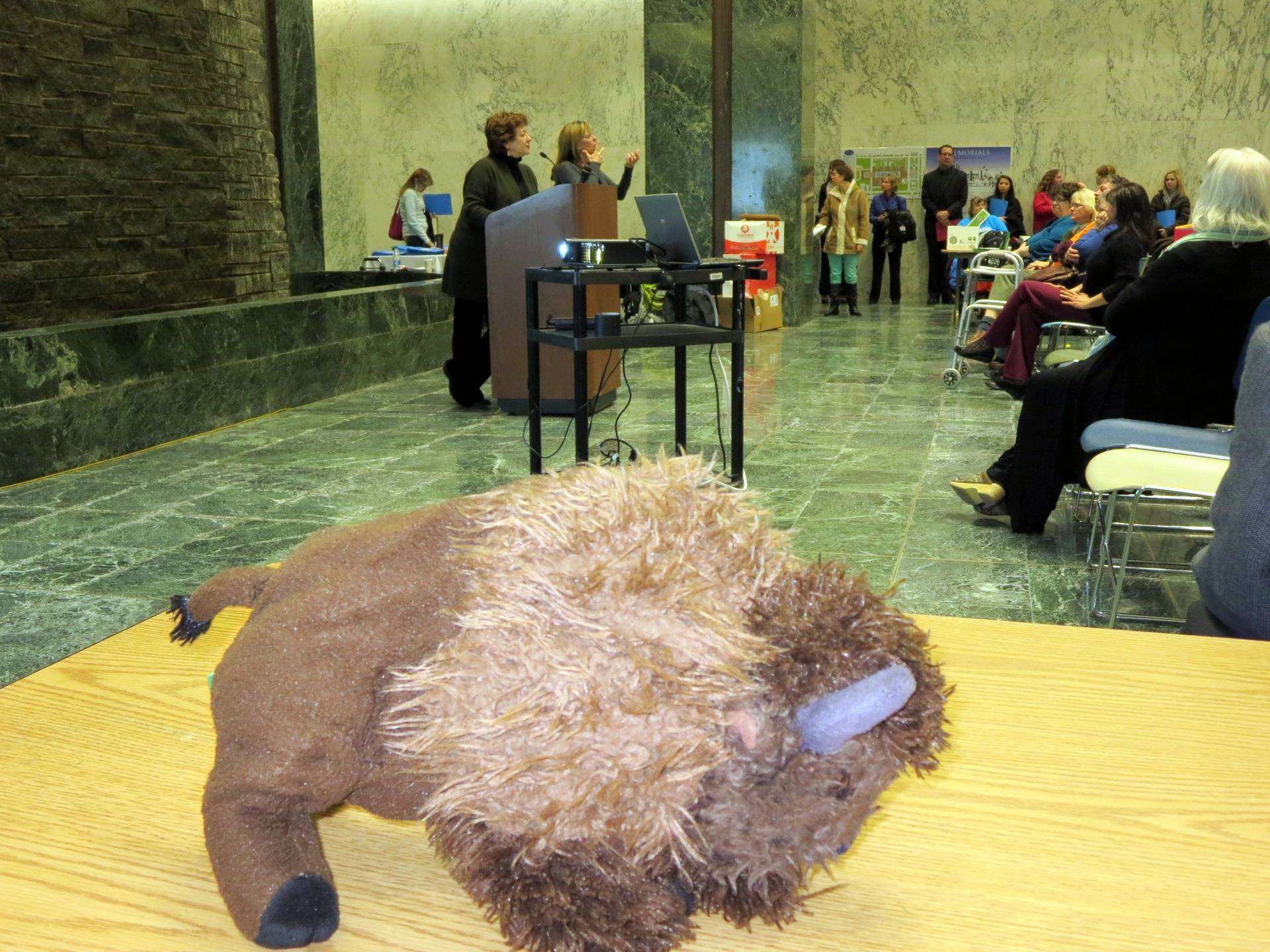 Millard the Buffalo is so proud to be a delegate to New York Association on Independent Living?s 2014 Legislative Day!
