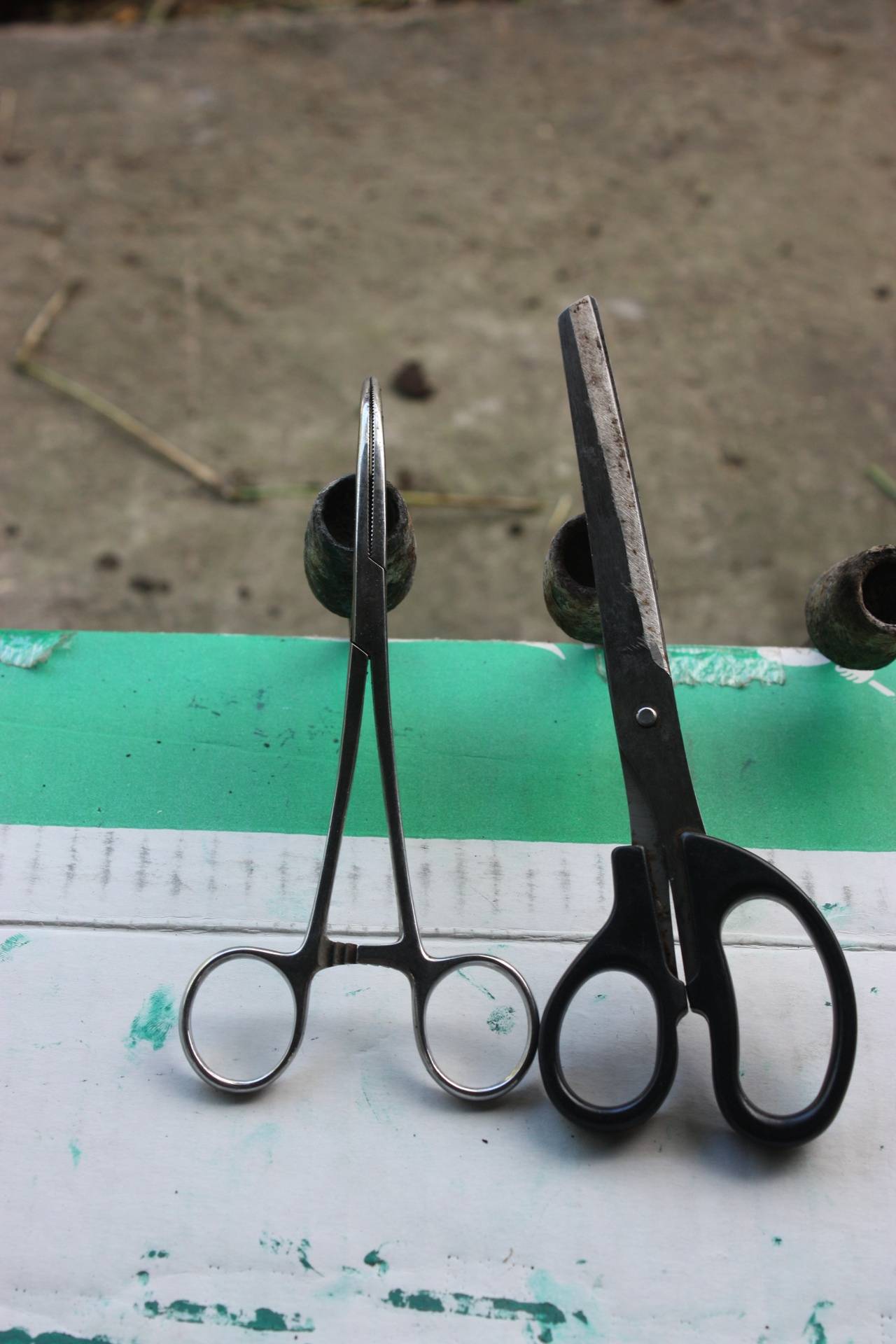 Scissors and Forcep