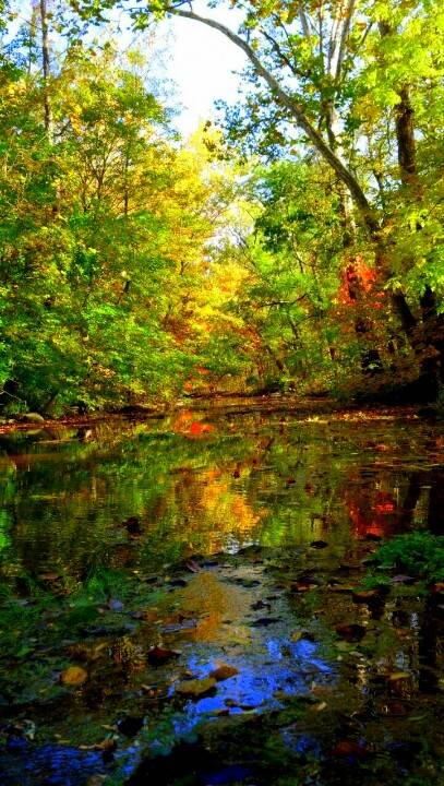 A creek in Lewisburg, Ohio