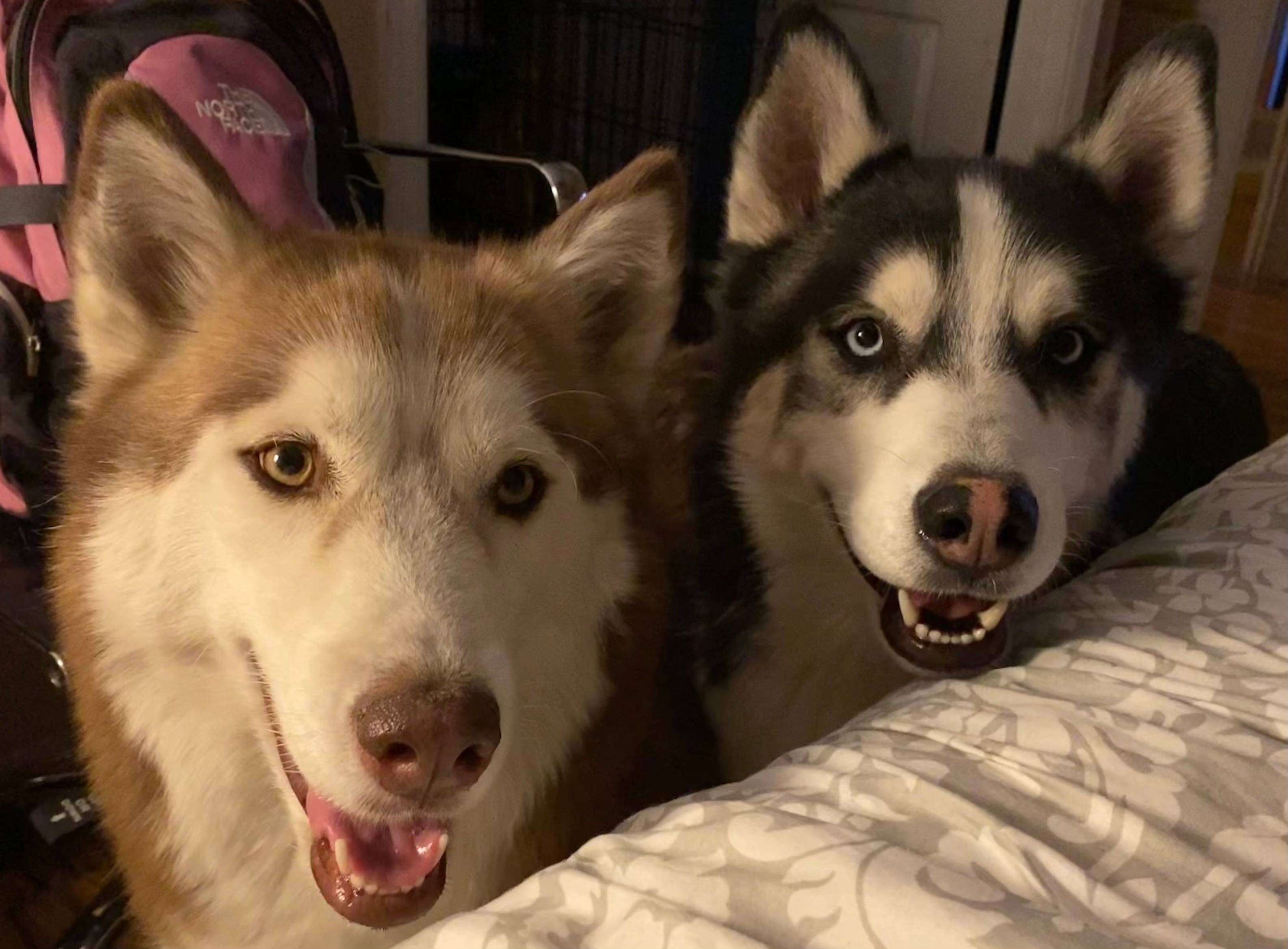 The boys before bedtime waiting for people snacks