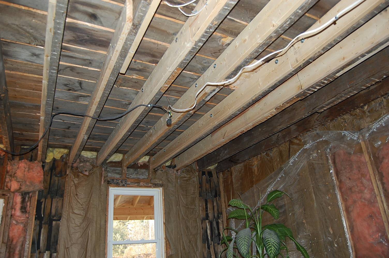 Scabed Ceiling joist