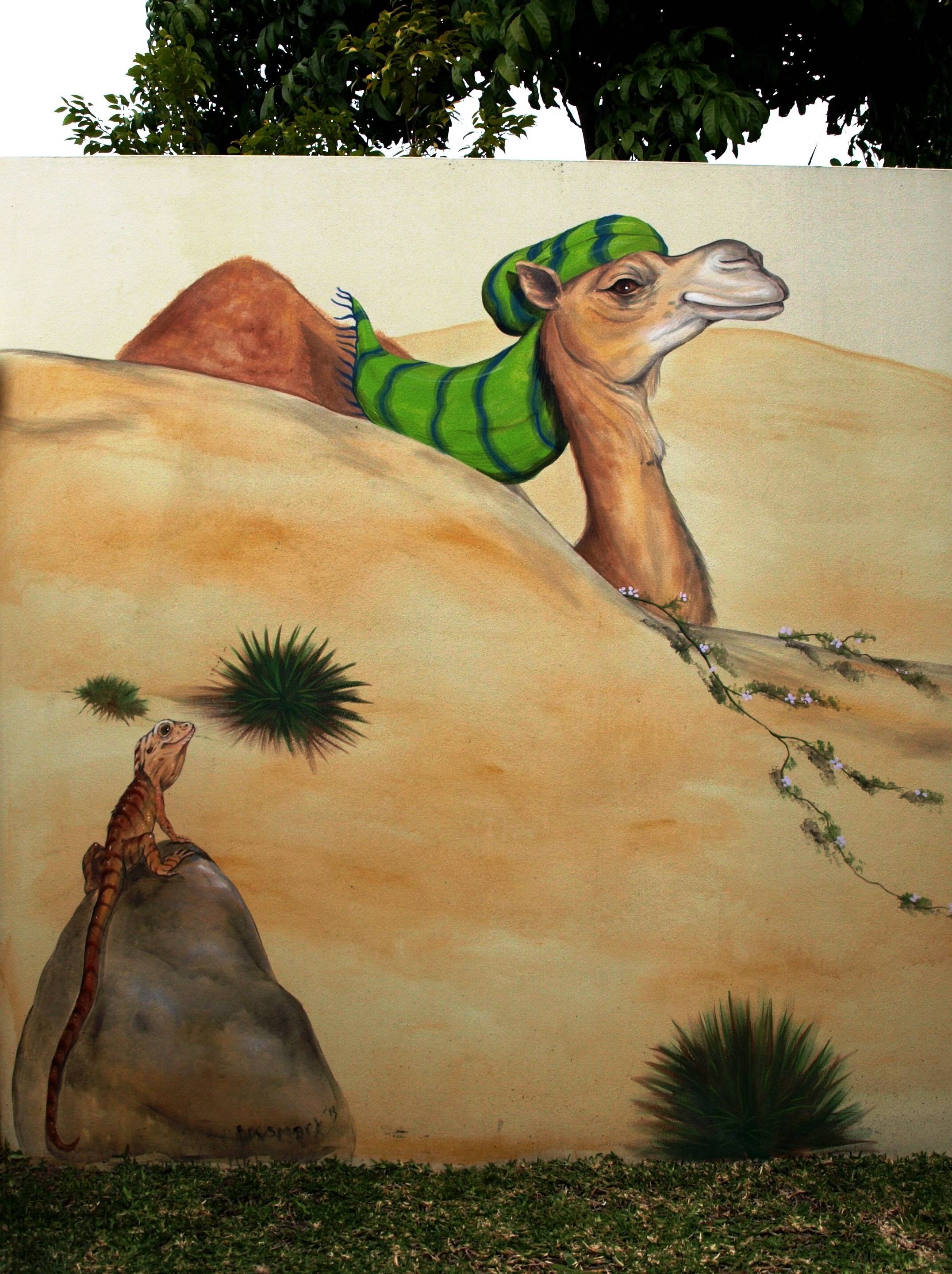 THE DESERT  habib the camel