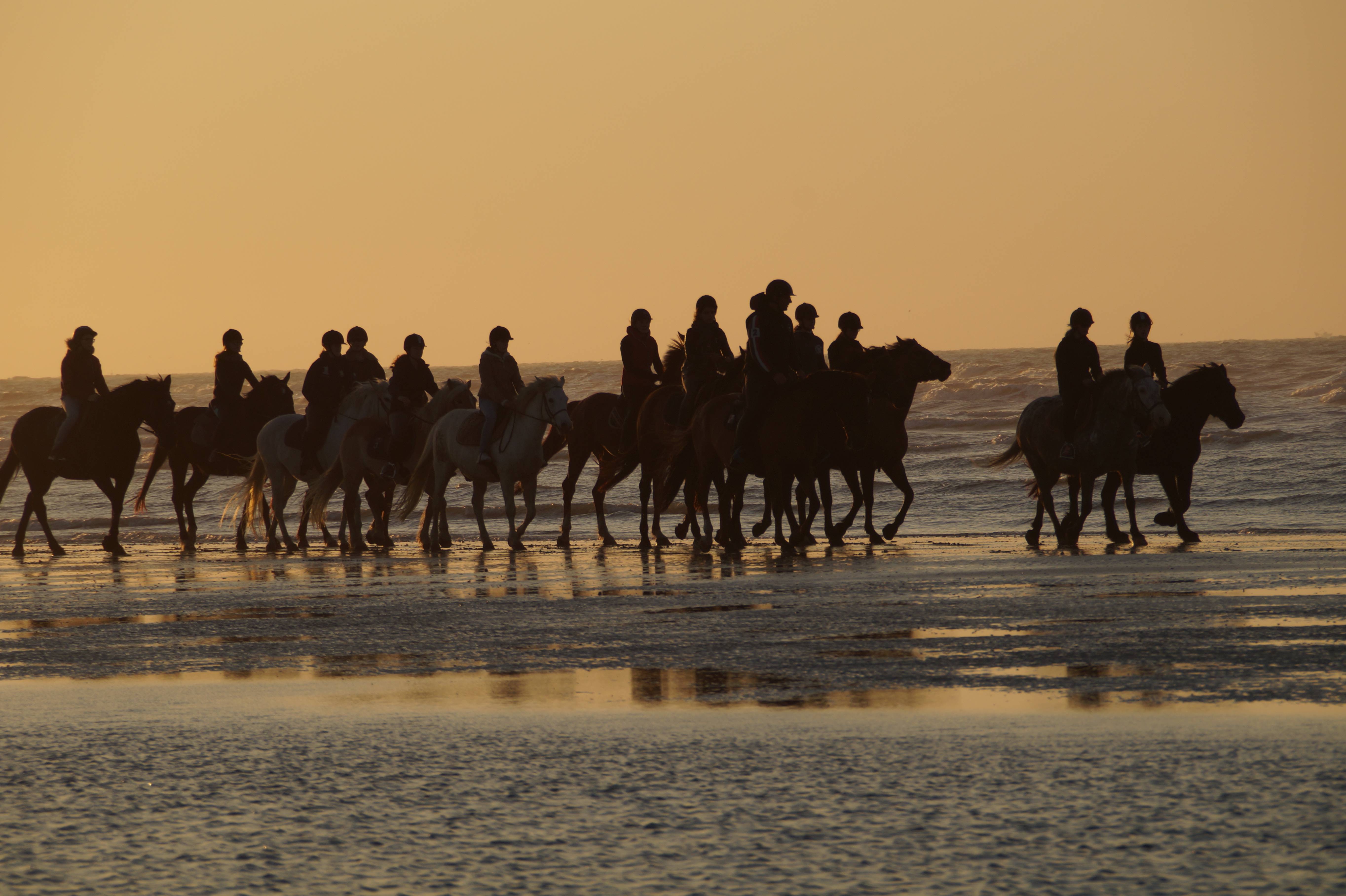 equitation sur la plage de cabourg
