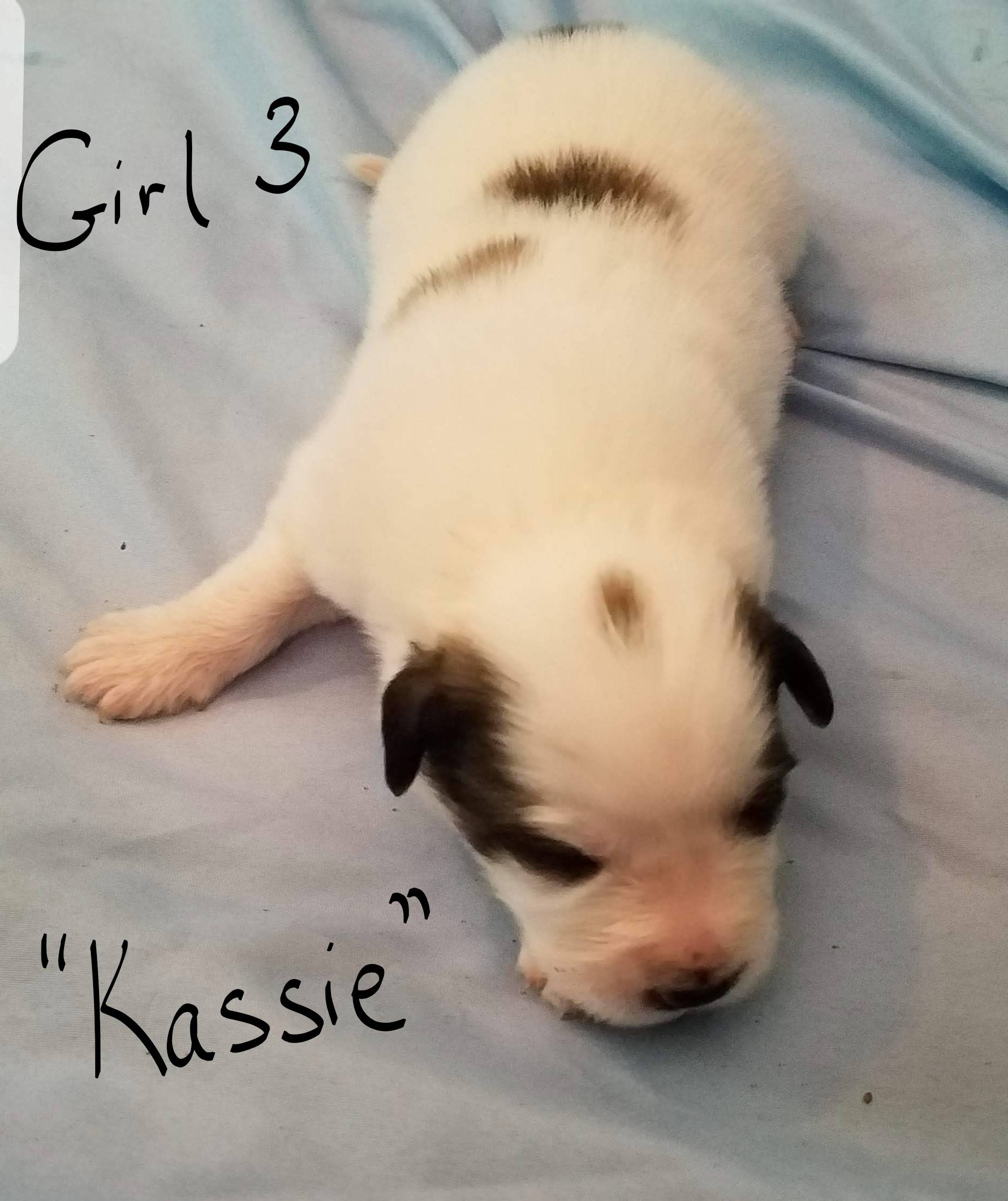 Girl 3 - "Kassie"