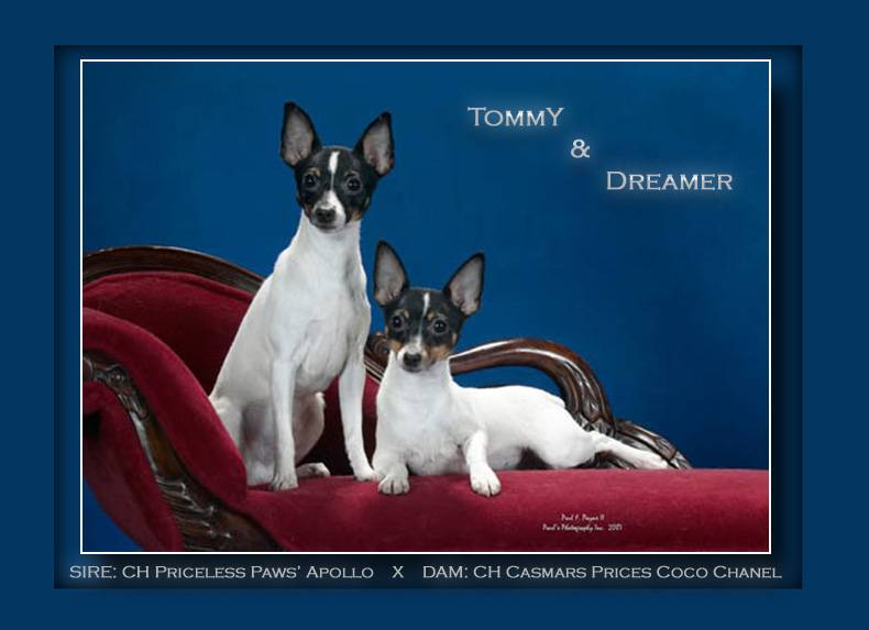 Tommy and Dreamer