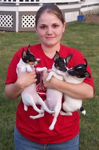 Mandy with Chanel/Rocky puppies