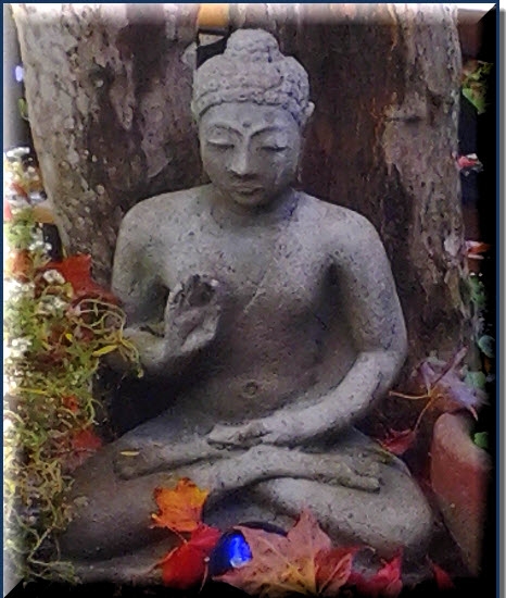 Backyard Buddha 2013