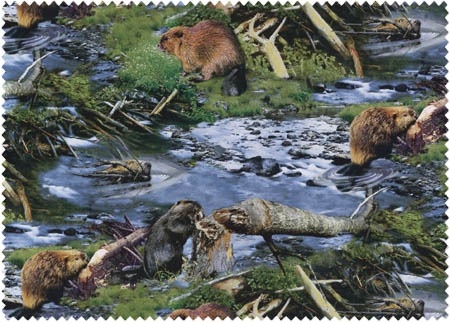 Beavers at Work - 1 (COTTON)