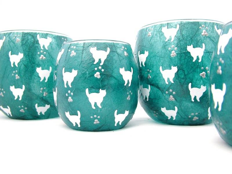 Teal and White Mussy Cats