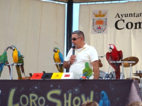 Parrot Show