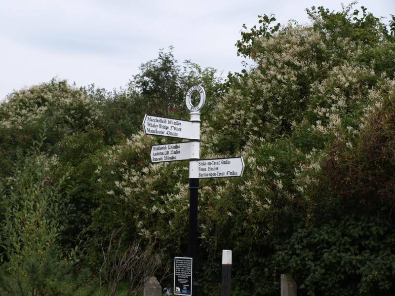 Junction signpost