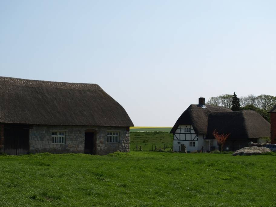 Thatched Cottage and Barn