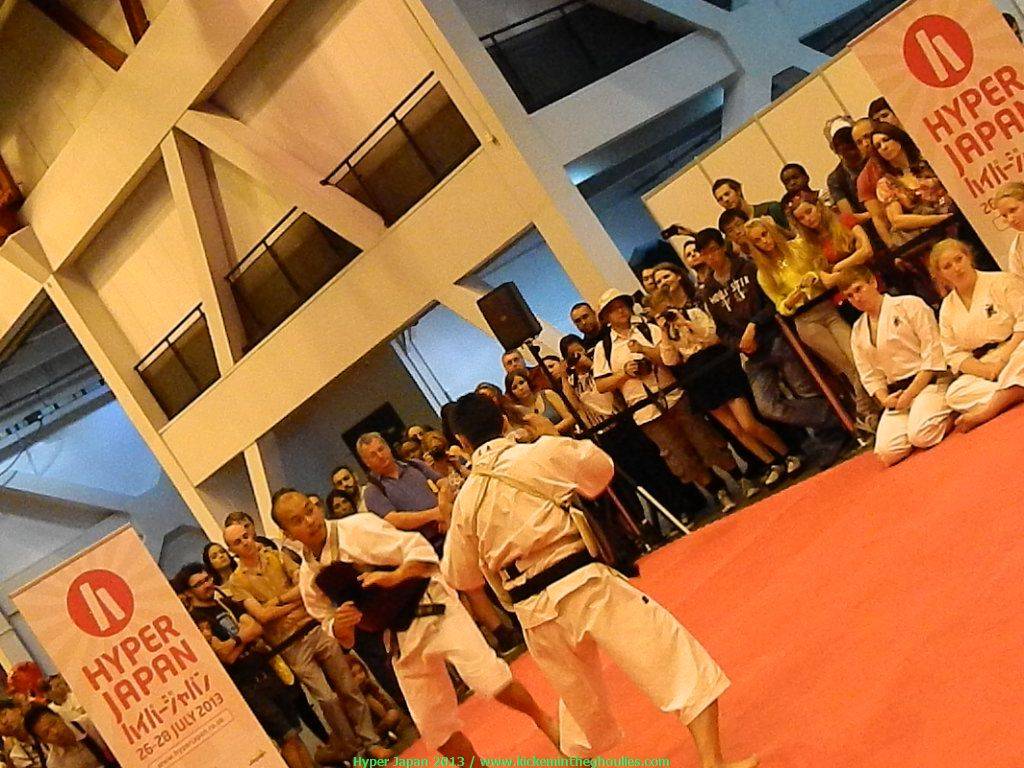 Martial arts stage - Shorinji Kempo