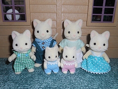 JP Dream Project White Cat Family