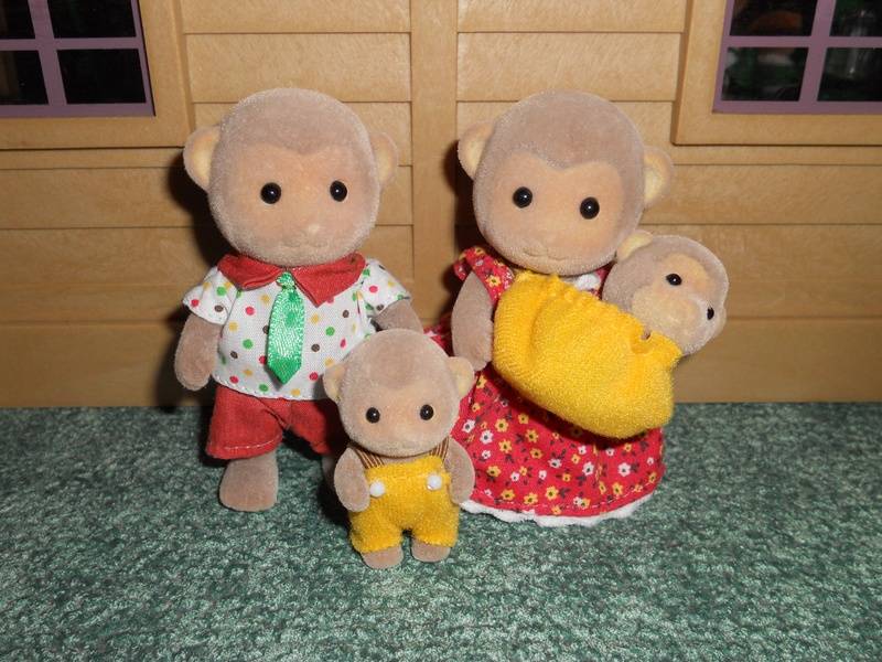 JP Monkey Family