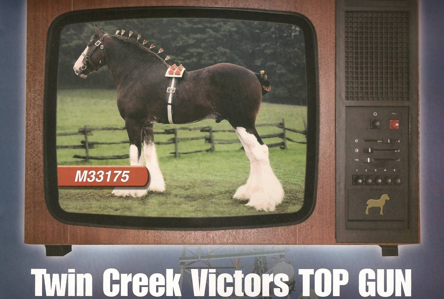 Clydesdale Stallion Twin Creek Victor's Top Gun