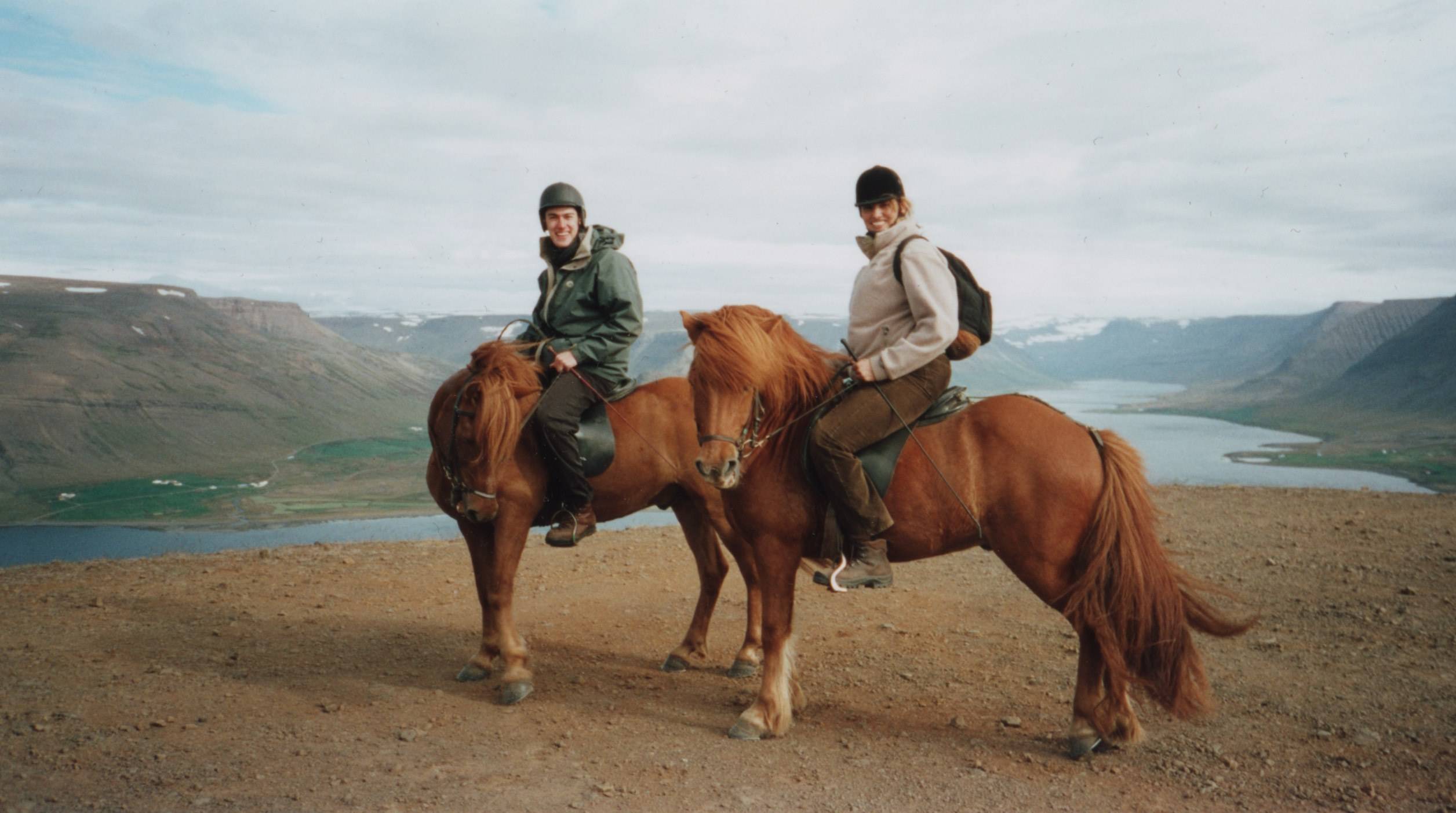 Icelandic horses, tiny but strong