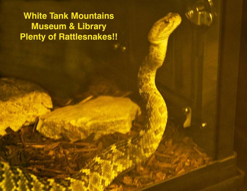 What it looks like:  a rattle snake