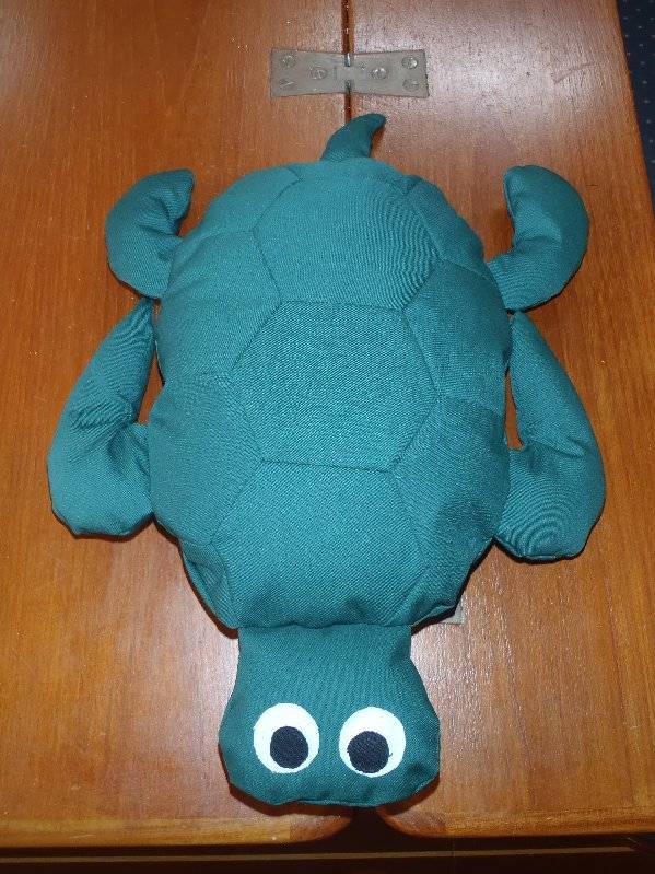 Hector the Bogey-Turtle