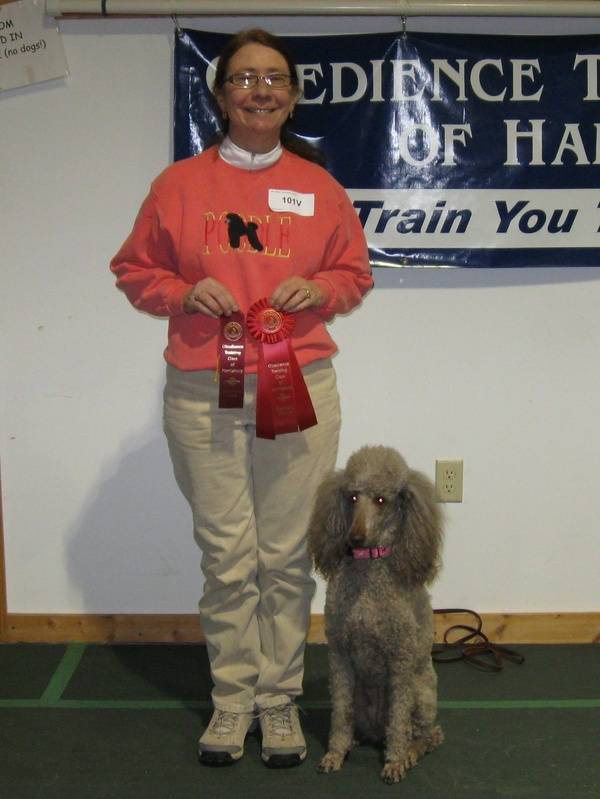 Amber winning second place in CDSP Novice and earning her first CD-C leg.  1/22/11.
