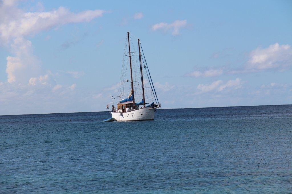 Segeltörns und Kojencharter in der Karibik und der Grenadinen. Mitsegeln in der Karibik und Karibik Reisen.