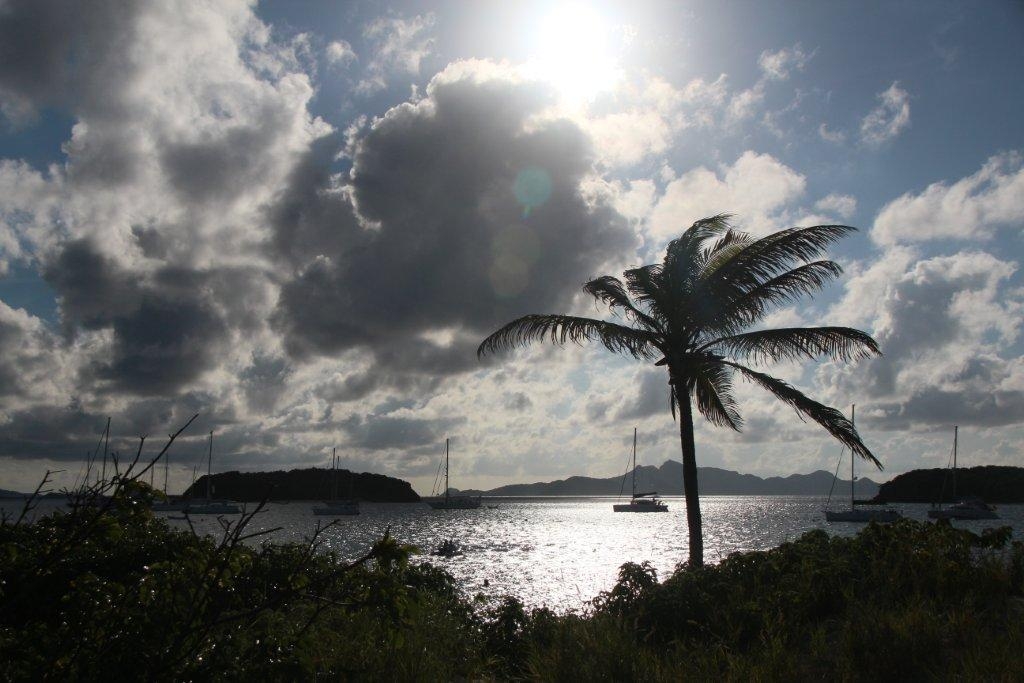 Segeltï¿½rns und Kojencharter in der Karibik und der Grenadinen. Mitsegeln in der Karibik und Karibik Reisen