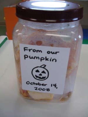 Our pumpkin science