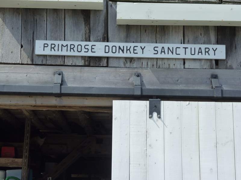 PrimRose Donkey Sanctuary sign
