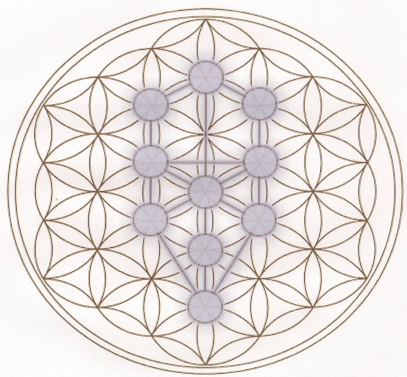 Flower of Life with Tree of Life image