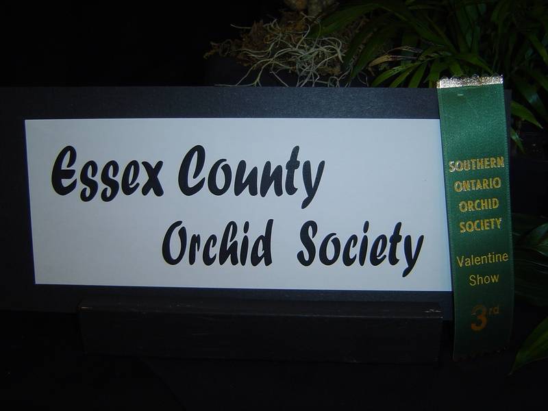 Society Wins!  SOOS Show, 2011