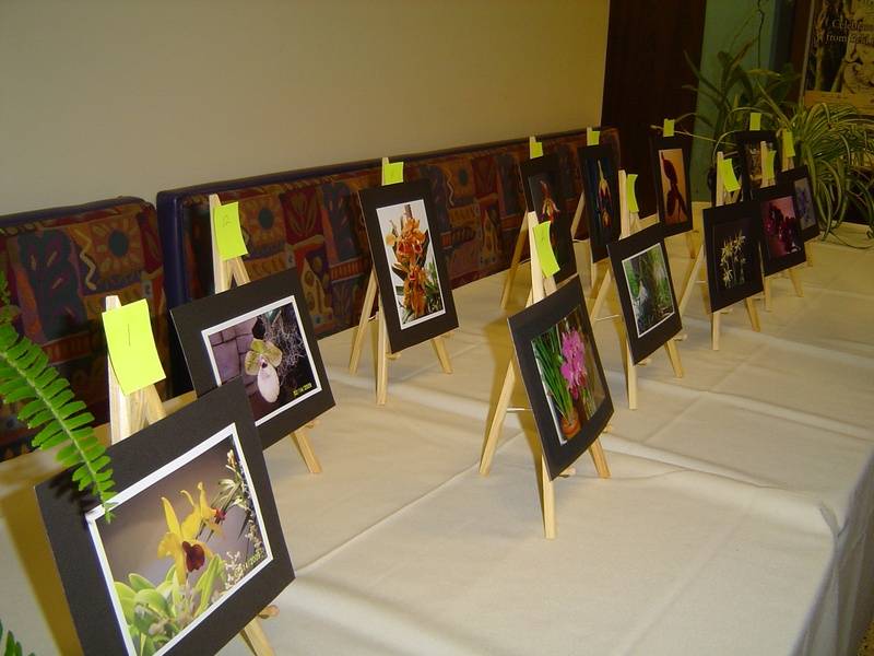 Members Photo entries at St. Clair College