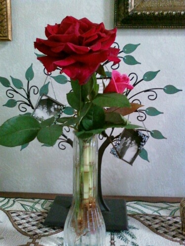 Laura Beth's Roses