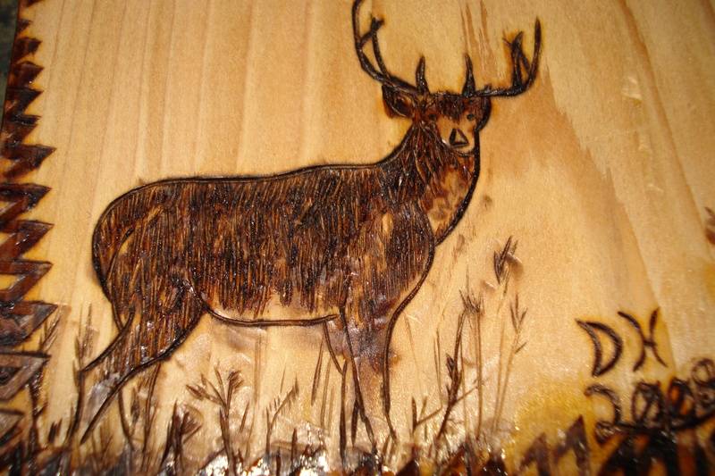 Deer Detail
