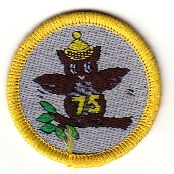 Brownie 75th Anniversary Badge, 1989