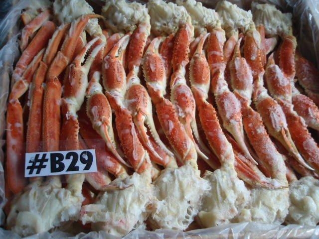 KING CRAB FROM RUSSIA