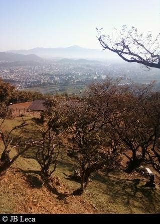 Top of Arashiyama Monkey Park