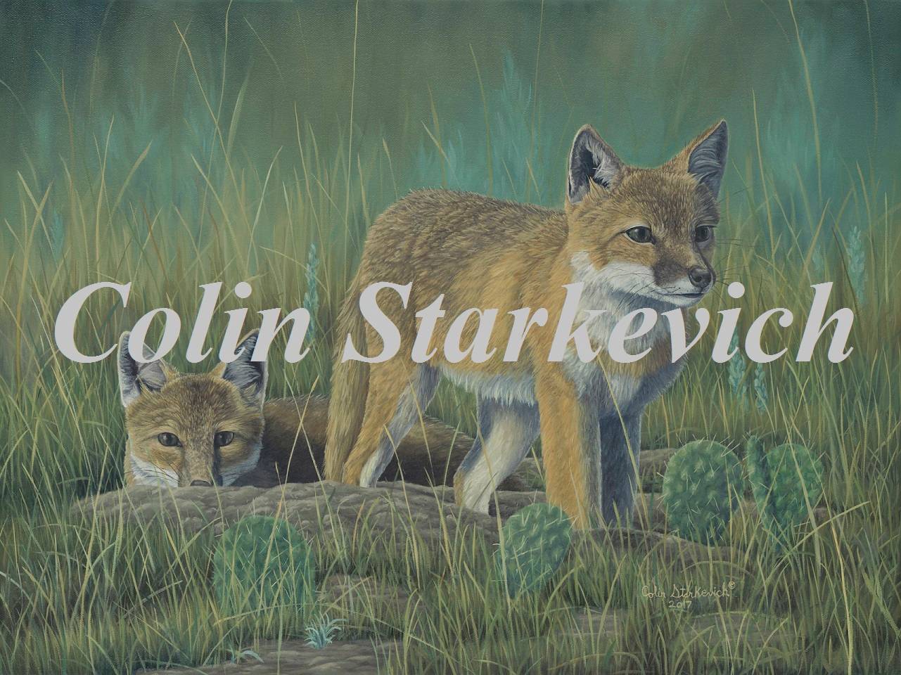 Beating the Odds - Swift Fox (18 by 24" oil on canvas) $1175.00