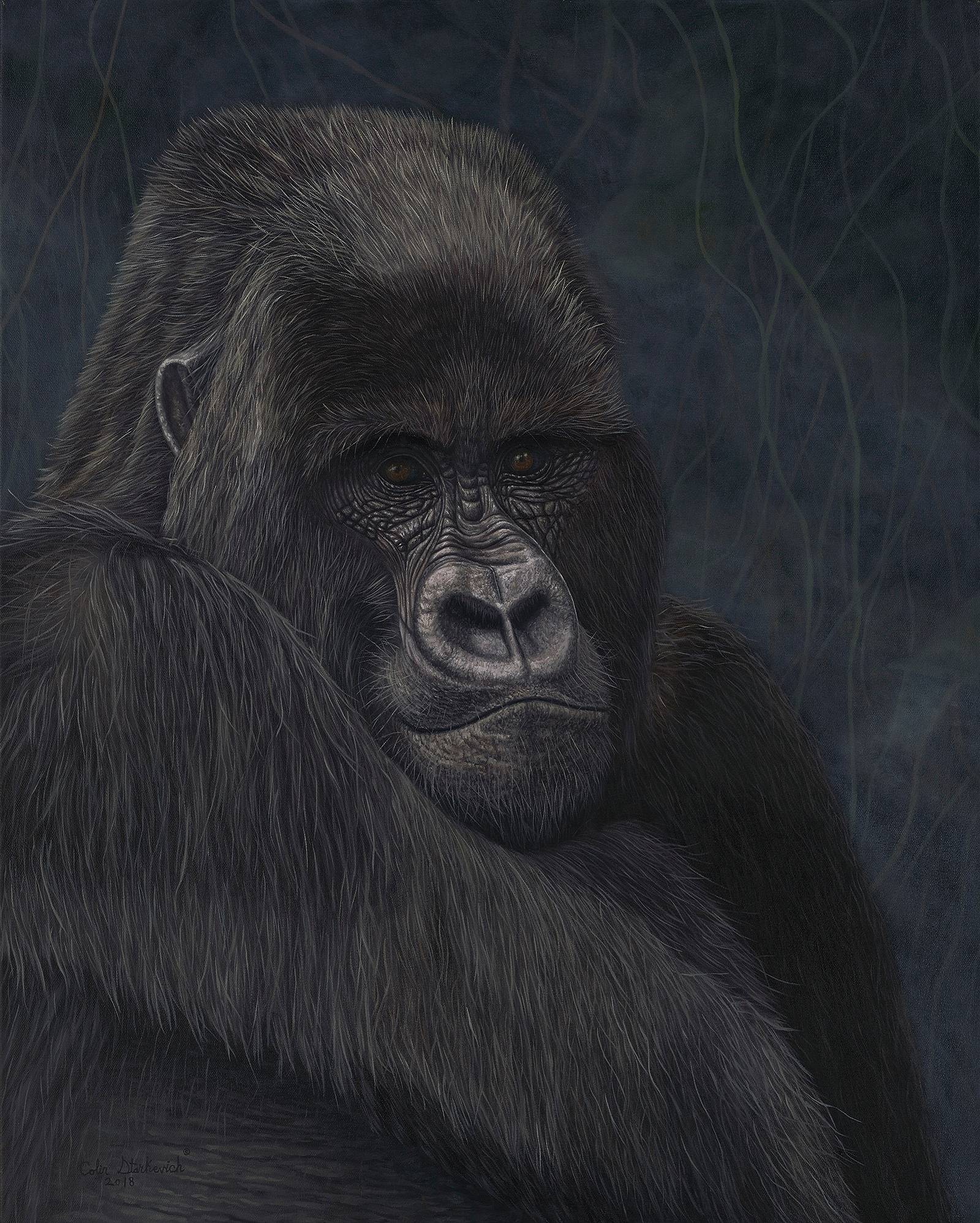 Keeper of Faith - Mountain Gorilla (24 by 30" oil on canvas) In Private Collection