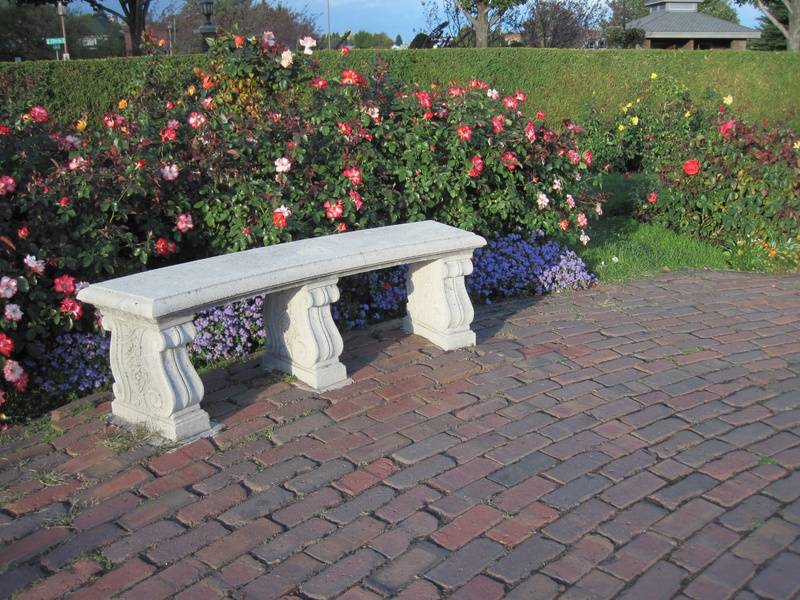 Bench at Leif Erikson Rose Garden