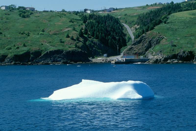 Small iceberg in Torbay Harbour