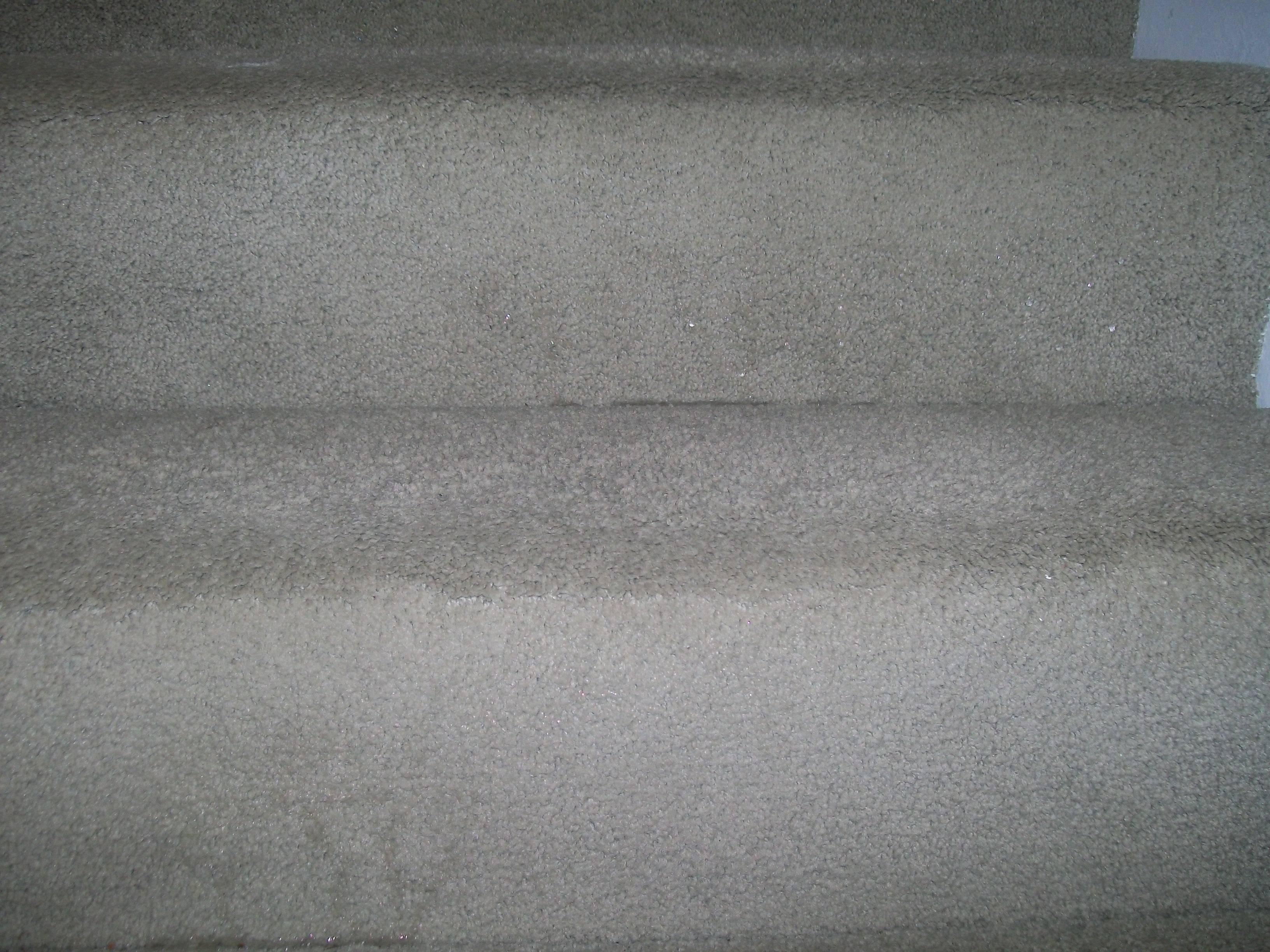 Carpet Stairs After