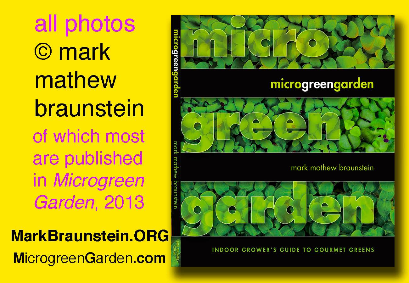 MICROGREEN GARDEN by Mark Mathew Braunstein