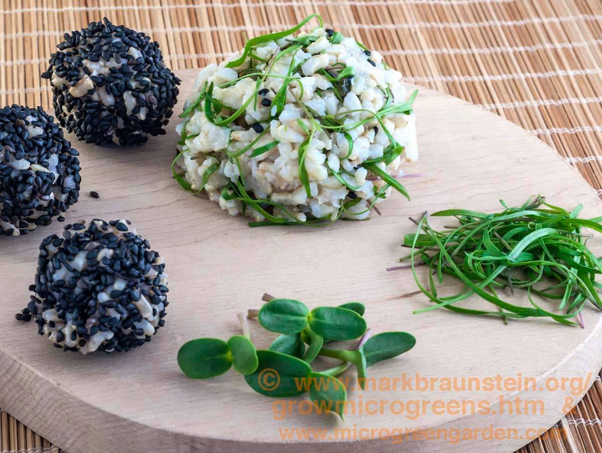 FENNEL microgreens & brown rice balls with Sunflower microgreens