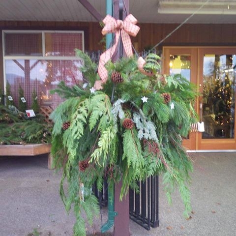 Christmas Hanging Baskets from 59.99