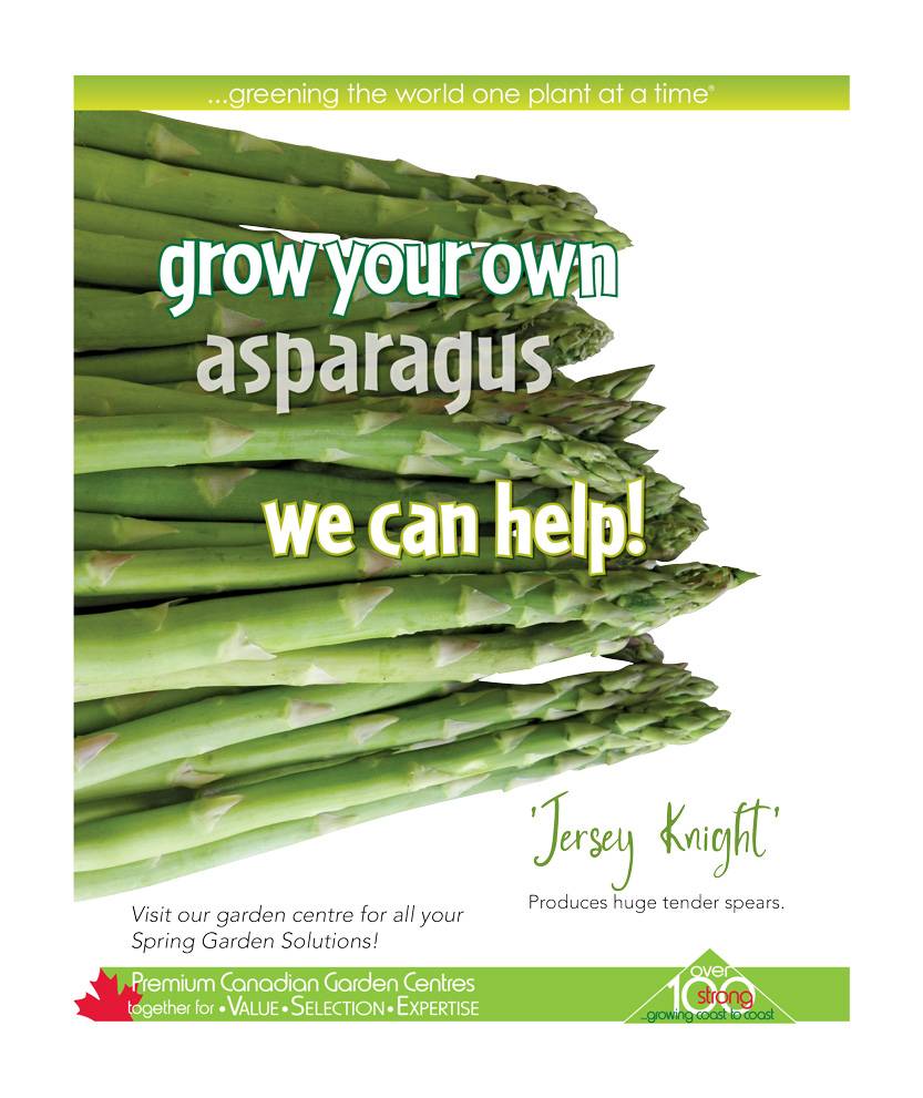 Jersey Knight Asparagus 4.88/3 per pot